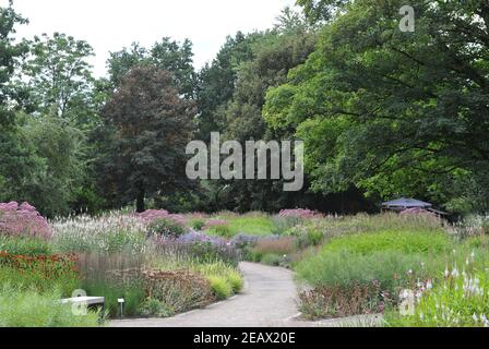 HAMM, DEUTSCHLAND - 15. AUGUST 2015: Bepflanzung im mehrjährigen Wiesenstil von Piet Oudolf im Garten Nature Designs im Maximilianpark Stockfoto