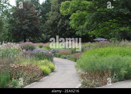 HAMM, DEUTSCHLAND - 15. AUGUST 2015: Bepflanzung im mehrjährigen Wiesenstil von Piet Oudolf im Garten Nature Designs im Maximilianpark Stockfoto