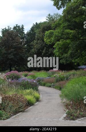 HAMM, DEUTSCHLAND - 15. AUGUST 2015: Bepflanzung im mehrjährigen Wiesenstil von Piet Oudolf im Garten Nature Designs im Maximilianpark Stockfoto