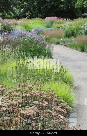 HAMM, DEUTSCHLAND - 15. AUGUST 2015: Bepflanzung im mehrjährigen Wiesenstil von Piet Oudolf im Garten Nature Designs im Maximilianpark Stockfoto