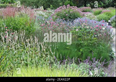 HAMM, DEUTSCHLAND - 15. AUGUST 2015: Bepflanzung im mehrjährigen Wiesenstil von Piet Oudolf im Garten Art Garten im öffentlichen Park Maximilianpark Stockfoto