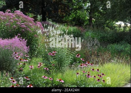 HAMM, DEUTSCHLAND - 15. AUGUST 2015: Bepflanzung im mehrjährigen Wiesenstil von Piet Oudolf im Garten Nature Designs im Maximilianpark Stockfoto