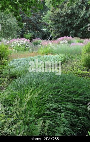 HAMM, DEUTSCHLAND - 15. AUGUST 2015: Schattenanteil der Pflanzung im mehrjährigen Wiesenstil, entworfen von Piet Oudolf im Garten Nature Designs Maximilianpark Stockfoto