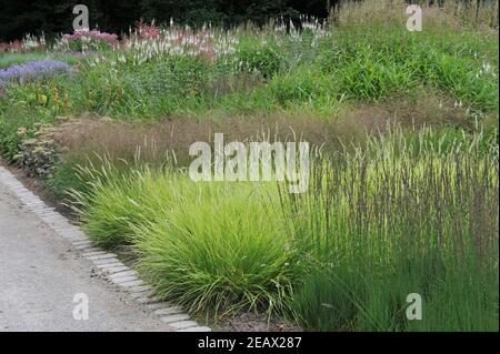 HAMM, DEUTSCHLAND - 15. AUGUST 2015: Bepflanzung im mehrjährigen Wiesenstil von Piet Oudolf im Garten Nature Designs im Maximilianpark Stockfoto