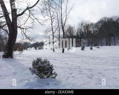 Winterwunderland! Szenen aus dem Dow's Lake und dem Arboretum, Ottawa, Ontario, Kanada. Stockfoto