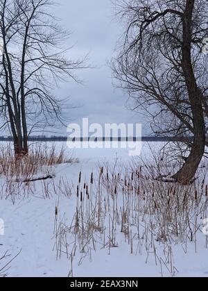 Wunderschöne gefrorene kanadische Winterlandschaft am Ottawa River bei Petrie Island, Ottawa, Ontario, Kanada. Stockfoto