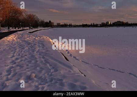 Sanftes orangefarbenes Leuchten, während die verblassende Sonne einen Fleck Schnee und die Bäume dahinter fängt. Dow's Lake, Ottawa, Ontario, Kanada. Stockfoto