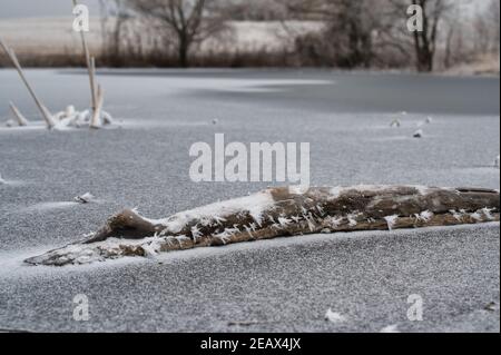 Gefrorener Teich mit gesunkenem Baumstamm und Eiskristallen. Stockfoto