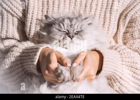 Cute flauschig entspannt Katze schlafen in den Armen. Liebe Katzen und Menschen. Katze gemütlich schlafen in Besitzer Arme. Stockfoto