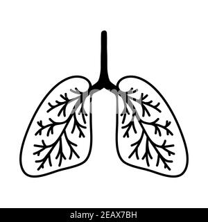 Einfache handgezeichnete Lungen-Illustration. Isoliert auf weißem Hintergrund. Stock Vektor