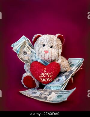 Ausgestopfter Bär hält Bargeld, um zu veranschaulichen, wie teuer Liebe ist Stockfoto