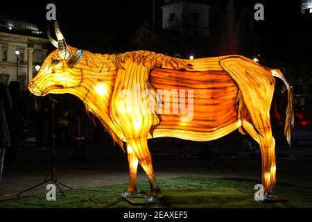 London, Großbritannien. Februar 2021, 10th. Eine Ox-Statue, die vor dem chinesischen Neujahr auf dem Trafalgar Square in London zu sehen ist, das Jahr des Ochsen wird. Kredit: SOPA Images Limited/Alamy Live Nachrichten Stockfoto