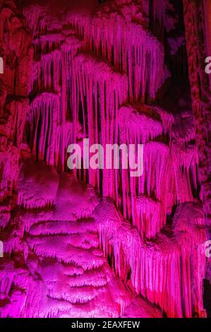 Einige rosa/violette Stalagmiten in den Grutas de García / Garcia Höhlen in der Nähe von Monterrey, Mexiko Stockfoto