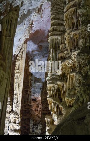 Einige Stalagmiten in den Grutas de García / Garcia Höhlen in der Nähe von Monterrey, Mexiko Stockfoto