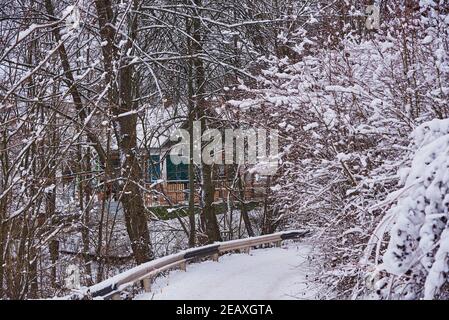 Schneebedeckte Straße zwischen den Bäumen, hinter den Bäumen ein Dorfhaus. Stockfoto