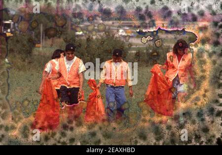 New Braunfels, Texas USA: Schüler des ROTC-Gymnasiums nehmen an einem Freiwilligenprojekt zur Reinigung von Müll am Straßenrand Teil. ©Bob Daemmrich BAD3238D Stockfoto