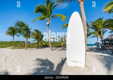 White Surfboard am Sandstrand. Stand-up Paddle Kurse. Wunderschöne tropische Insellandschaft mit Palmen und weißem Sand am Strand. Das Konzept Stockfoto