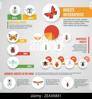 Insekten Infografik Set mit wilden Schädlinge Symbole und Karten Vektor Abbildung Stock Vektor