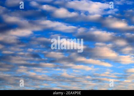 Weiße Cumulus Wolken auf blauem Himmel für Backdrops Konzept. Wunderschöne, ungewöhnliche orange Regenwolken bei Sonnenuntergang. Landschaftshintergrund, Klimawandel. Bewölkt Stockfoto