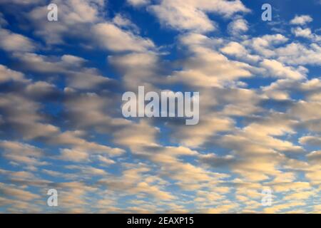 Weiße Cumulus Wolken schweben auf blauem Himmel für Kulissen Konzept. Wunderschöne orange Regenwolken bei Sonnenuntergang. Landschaftshintergrund, Klimawandel. Bewölkt Stockfoto