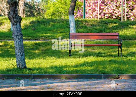 Leere Holzbank im Park. Sonniges Wetter am Frühling oder Sommertag. Grünes Gras auf dem Rasen. Relax-Konzept Stockfoto
