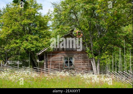 Loghaus auf dem Bauernhof Ärteråsen Stockfoto