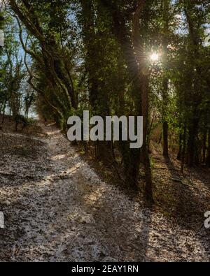 Pfad bedeckt mit Schnee in Chiltern Hills im Winter bei Chesham, England Stockfoto