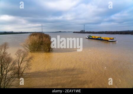 Hochwasser am Rhein, überflutete Rheinwiesen, Felder, Frachtschiff, eingeschränkter Betrieb für die Binnenschifffahrt, Niederrhein, hier bei Emmerich, NRW, Stockfoto