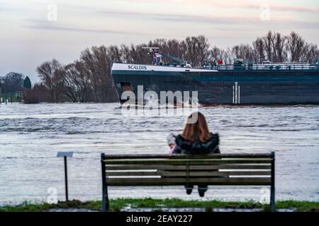 Hochwasser am Rhein, überflutetes Rheinufer, alte Fähranlegestelle, Rheinwiesen, bei Xanten, Bislicher Insel, Niederrhein, NRW, Deutschland, Stockfoto