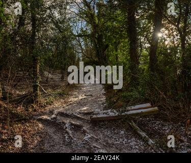 Pfad bedeckt mit Schnee in Chiltern Hills im Winter bei Chesham, England Stockfoto