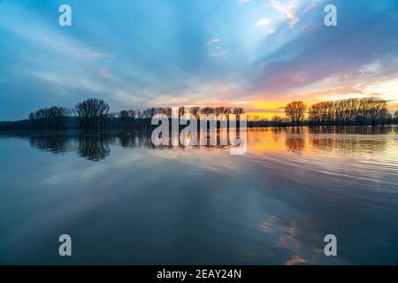 Naturschutzgebiet Bislicher Insel, Auenlandschaft am Rhein, bei Xanten, Hochwasser, überflutete Felder, Wiesen, NRW, Deutschland, Stockfoto