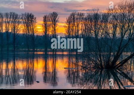 Naturschutzgebiet Bislicher Insel, Auenlandschaft am Rhein, bei Xanten, Hochwasser, überflutete Felder, Wiesen, NRW, Deutschland, Stockfoto