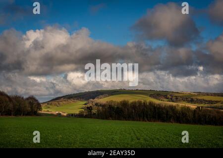 Chanctonbury Hill auf dem South Downs Way, West Sussex, Großbritannien Stockfoto