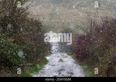 Blick auf einen Pfad in den South Downs in verschneiten Wetter Stockfoto