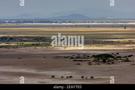 Eine Herde afrikanischer Elefanten, die im Vergleich zum riesigen staubigen, ausgetrockneten Bett des Lake Amboseli in Kenia winzig aussehen. Stockfoto