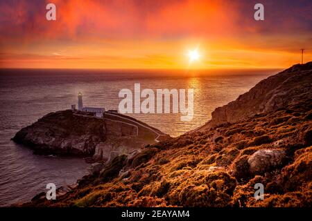 South Stack LighthouseHolyhead, Anglesey. Stockfoto