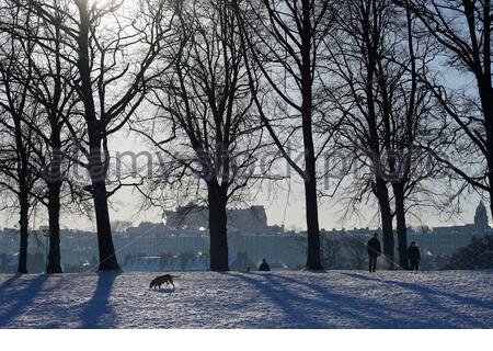 Edinburgh, Schottland, Großbritannien. Februar 2021, 11th. Menschen genießen einen herrlichen sonnigen, aber eiskalten Morgen in einem schneebedeckten Inverleith Park. Kredit: Craig Brown/Alamy Live Nachrichten Stockfoto