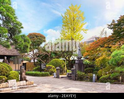 tokio, japan - november 10 2020: Innengarten des Tempels der sieben Glücksgötter von Sumida namens Tamonji, geschmückt mit buddhistischen Statuen und Momi Stockfoto