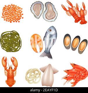 Meeresfrüchte dekorative Symbole mit Kaviar Hummer Fisch Algen isoliert gesetzt vektorgrafik Stock Vektor