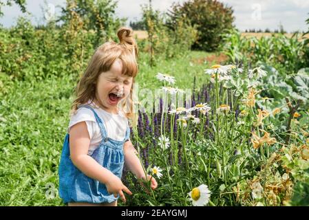 Baby Mädchen sammelt ein Bouquet von hausgemachtem Tee. Kamille, Minze und Zitronenmelisse. Natürliche Nahrung im Dorf Stockfoto