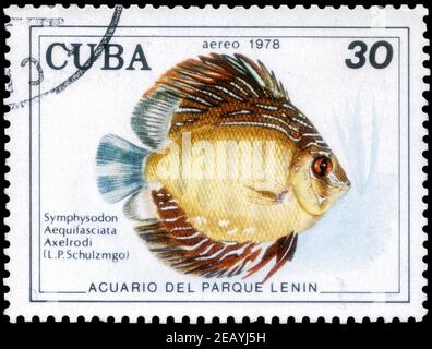 Sankt Petersburg, Russland - 05. Dezember 2020: Briefmarke gedruckt in Kuba mit dem Bild der Blauen Diskuschi, um 1978 Stockfoto