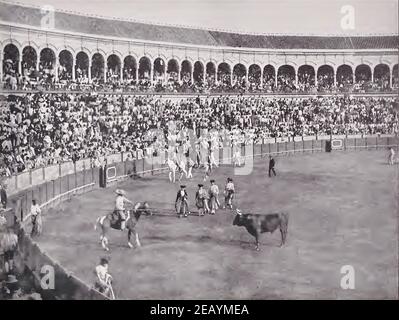 Vintage 1892 Foto eines Stierkampfes in Sevilla, Spanien. Ein Picador-Pferd wird beim Stier gesehen. Stockfoto