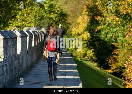 Menschen, die am sonnigen Herbsttag auf einem malerischen historischen Gehweg auf mittelalterlichen Stadtmauern (alte Stadtmauern und Zinnen) spazieren - York, North Yorkshire, England. Stockfoto