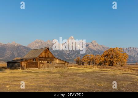 Moose, Wyoming USA - 10. Oktober 2020: Thomas A. Molton Barn in der Nähe von Mormon Row auf Antelope Flats Road in Moose, Wyoming. Die Grand Teton Mountains. Stockfoto