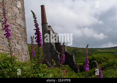 Die Überreste des Carn Galver-Maschinenhauses und der Mine, Cornwall, Großbritannien Stockfoto