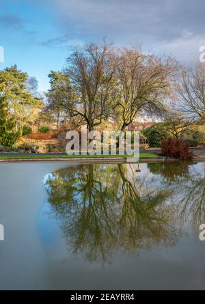 Gefrorener Teich umgeben von Bäumen und Laub an einem sonnigen Tag mit blauem Himmel. Stockfoto