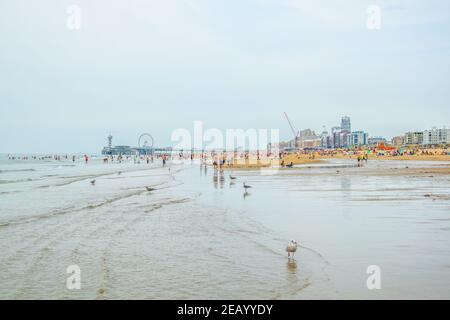 DEN HAAG, NIEDERLANDE, 7. AUGUST 2018: Blick auf die Seebrücke in Scheveningen, Niederlande Stockfoto