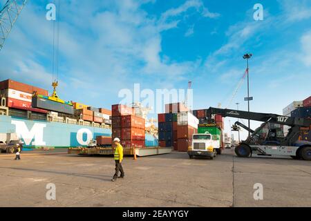 Iquique, Tarapaca Region, Chile - Krangabelverladewagen mit Container im Hafen von Iquique. Stockfoto