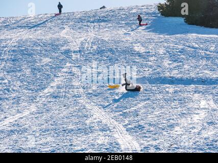 East Lothian, Schottland, Großbritannien, 11th. Februar 2021. UK Wetter: Sonne und Schnee zum Rodeln. Kinder und Familien haben Spaß Rodeln auf Skid Hill im Winterschnee, wie ein Junge fällt von einem Schlitten hinunter die Piste Stockfoto