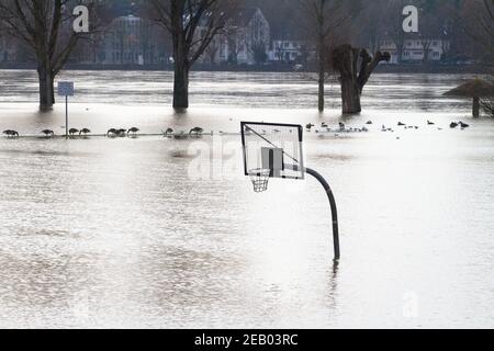 Rheinflut am 5th. Februar. 2021, überschwemmter Basketballplatz am Rheinufer im Kreis Poll, Köln, Deutschland. Hochwasser Stockfoto